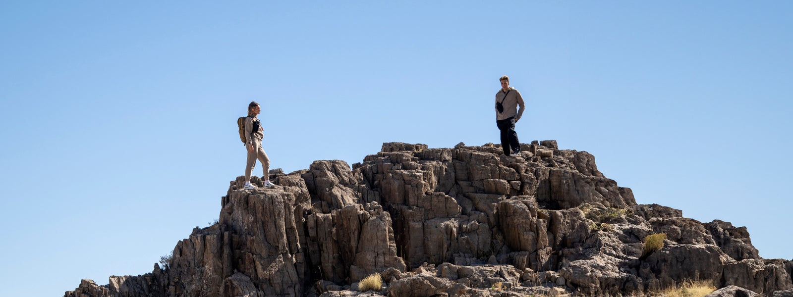 The Universal Collection